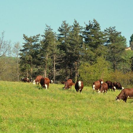 Gites A La Ferme De Bacon Saint-Sylvestre  المظهر الخارجي الصورة